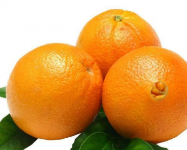 脐橙树可以盆栽吗 脐橙养殖方法
