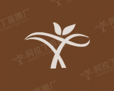 金钱草种植哪些土壤比较合适?