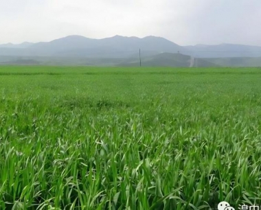 喷雾器打完小麦除草剂后必须清洗吗?