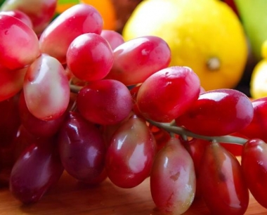 葡萄树入冬前怎么修剪