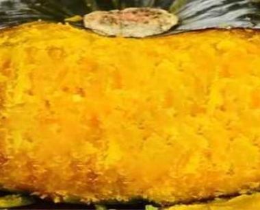 贝贝南瓜的生长周期多久