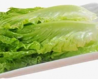 生菜多久可以成熟