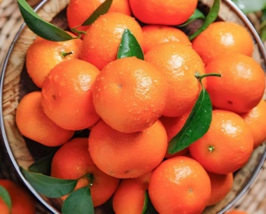 沙糖桔什么时候环割促花