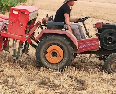 种植玉米覆膜与不覆膜有哪些区别?