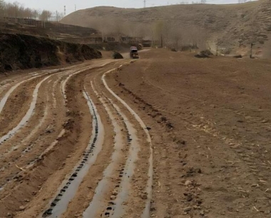 春小麦怎么种植?春小麦的种植方法和施肥技术?