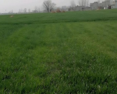 小麦试验小区收获样品采用那种脱粒方式好呢?