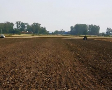 防治小麦孢囊线虫病农业措施有哪些?