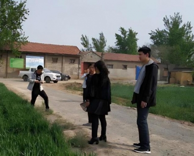 小麦穗期开展一喷三防能提高产量多少?