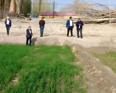 下大雪对小麦有影响吗?