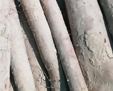 山药有哪些类型?各有什么特点?