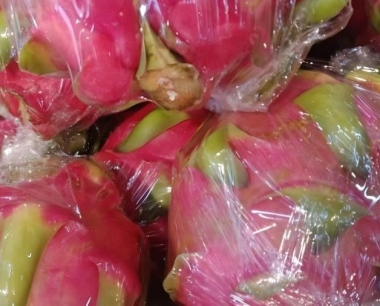 火龙果的保鲜技术措施主要是哪些?