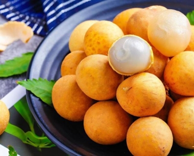 龙眼用籽种几年能结果