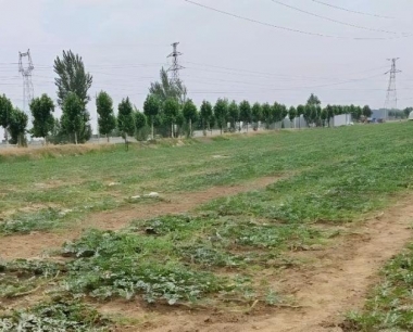 西瓜里面成水了还可以吃吗?