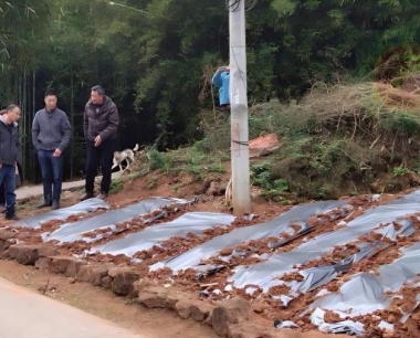 辣椒疫病如何防治,用什么药防效最好?