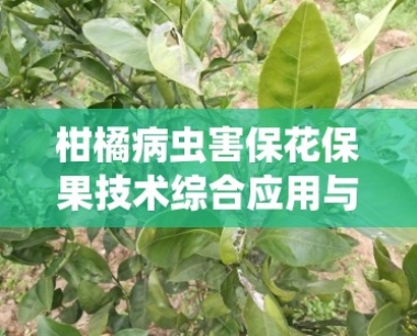 柑橘病虫害保花保果技术综合应用与高效管理策略