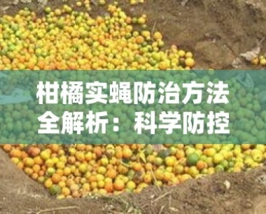 柑橘实蝇防治 *** 全解析:科学防控与果园管理实践