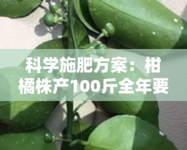 科学施肥方案:柑橘株产100斤全年要施多少肥料才能精准达标?