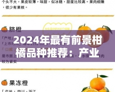 2024年最有前景柑橘品种推荐:产业趋势与市场机遇解析