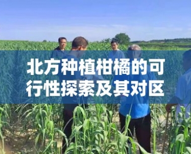 北方种植柑橘的可行性探索及其对区域农业发展的启示