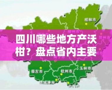 四川哪些地方产沃柑?盘点省内主要产区及推荐市县