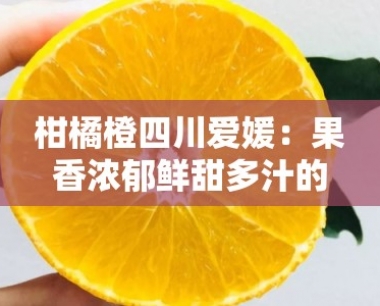 柑橘橙四川爱媛:果香浓郁鲜甜多汁的爆款水果之选