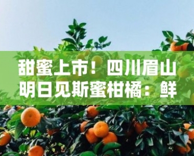 甜蜜上市!四川眉山明日见斯蜜柑橘:鲜果飘香,探秘川蜀珍稀柑橘品种
