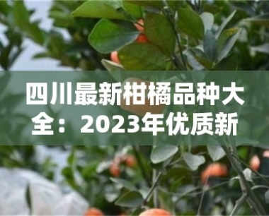 四川最新柑橘品种大全:2023年优质新品推介与栽培技术解析