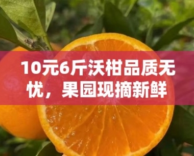 10元6斤沃柑品质无忧,果园现摘新鲜直达限时特惠