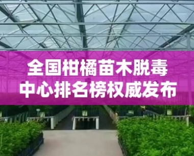 全国柑橘苗木脱毒中心排名榜权威发布与深度解析