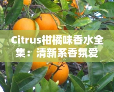 Citrus柑橘味香水全集:清新系香氛爱好者必入清单与深度评测