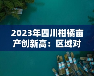 2023年四川柑橘亩产创新高:区域对比与增产因素深度解析