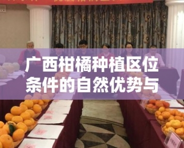 广西柑橘种植区位条件的自然优势与产业发展影响因素探析