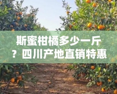 斯蜜柑橘多少一斤?四川产地 *** 特惠价新鲜上市!