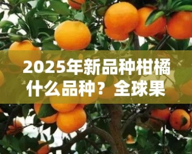 2025年新品种柑橘什么品种?全球果农必看的十大潜力品种解析
