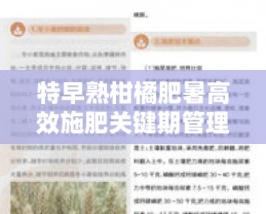 特早熟柑橘肥暑高效施肥关键期管理与提质增产技术要点解析