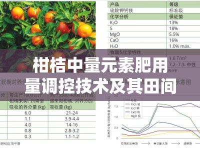 柑桔中量元素肥用量调控技术及其田间应用效果研究