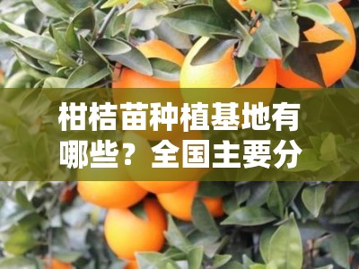 柑桔苗种植基地有哪些？全国主要分布区域与特色基地推荐指南