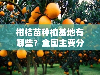 柑桔苗种植基地有哪些？全国主要分布区域与特色基地推荐指南