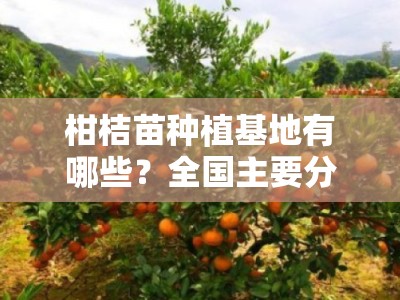 柑桔苗种植基地有哪些？全国主要分布区域与特色基地推荐指南