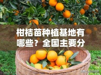 柑桔苗种植基地有哪些？全国主要分布区域与特色基地推荐指南