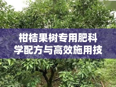 柑桔果树专用肥科学配方与高效施用技巧全解析