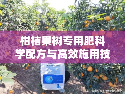柑桔果树专用肥科学配方与高效施用技巧全解析