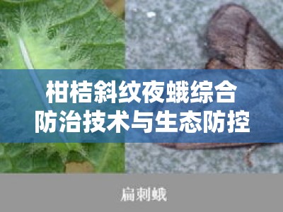 柑桔斜纹夜蛾综合防治技术与生态防控策略解析