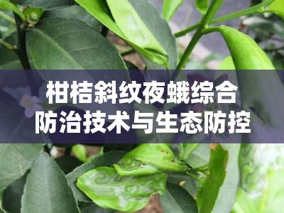 柑桔斜纹夜蛾综合防治技术与生态防控策略解析