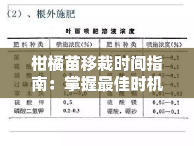 柑橘苗移栽时间指南：掌握最佳时机与关键栽培要点解析