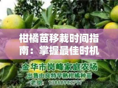 柑橘苗移栽时间指南：掌握最佳时机与关键栽培要点解析