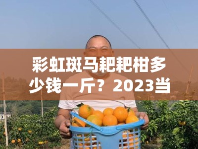 彩虹斑马耙耙柑多少钱一斤？2023当季产地直供价格与口感测评