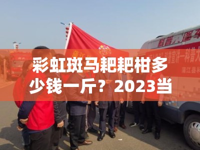 彩虹斑马耙耙柑多少钱一斤？2023当季产地直供价格与口感测评