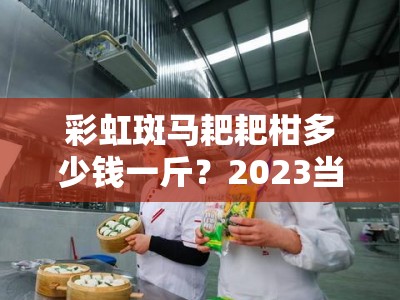 彩虹斑马耙耙柑多少钱一斤？2023当季产地直供价格与口感测评