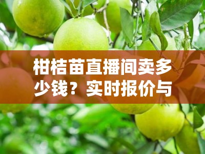 柑桔苗直播间卖多少钱？实时报价与品种优惠全揭秘